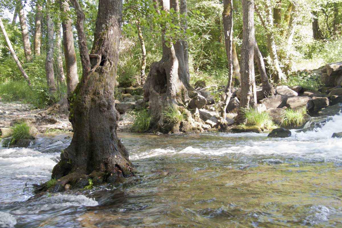 Río de Verín